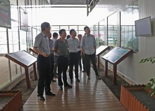 光明食品集團深入調研星輝蔬菜產業發展，助力市場戰略優化